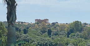 IMG_5683.jpeg